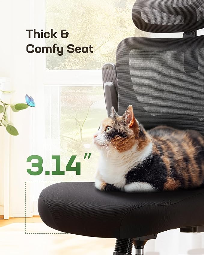 Ergonomic Office Chairs